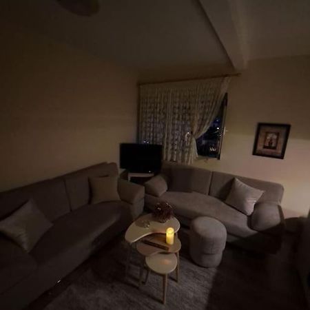 Quiet, Cozy, Luminous Apartment Tiran Dış mekan fotoğraf