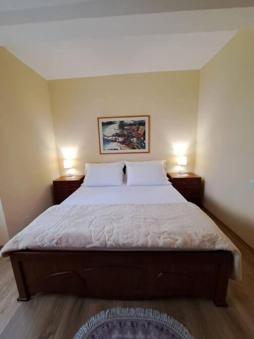 Quiet, Cozy, Luminous Apartment Tiran Dış mekan fotoğraf