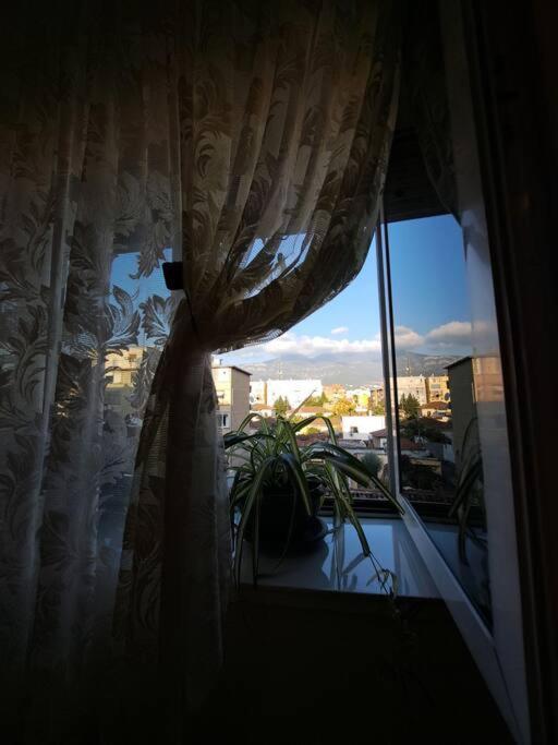 Quiet, Cozy, Luminous Apartment Tiran Dış mekan fotoğraf