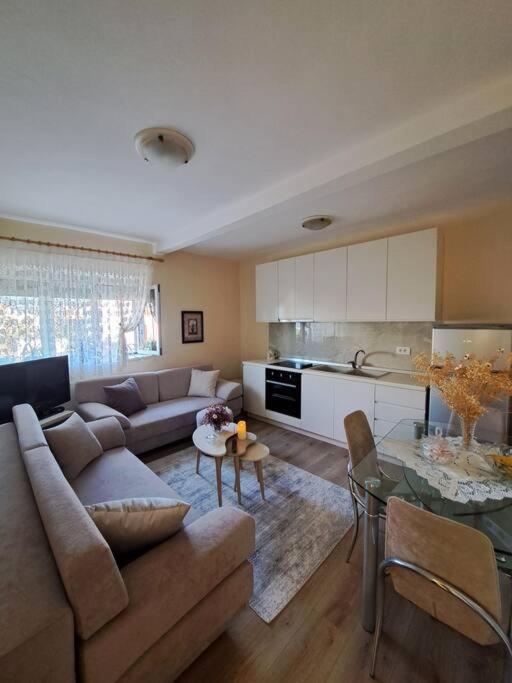 Quiet, Cozy, Luminous Apartment Tiran Dış mekan fotoğraf