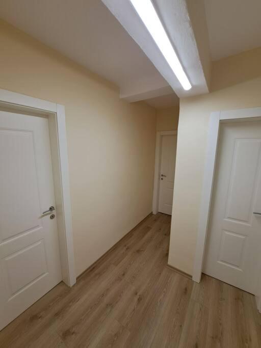Quiet, Cozy, Luminous Apartment Tiran Dış mekan fotoğraf