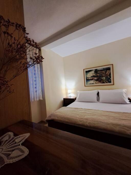 Quiet, Cozy, Luminous Apartment Tiran Dış mekan fotoğraf